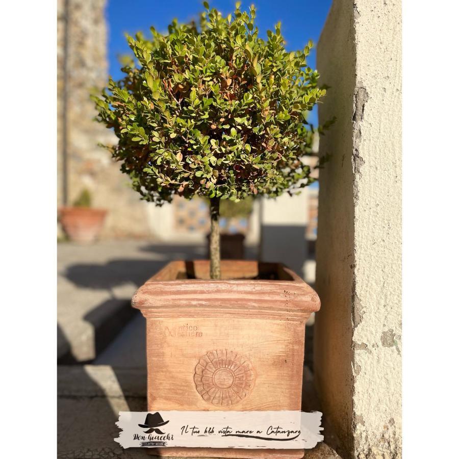 Don Giacchi Country House Catanzaro Luaran gambar