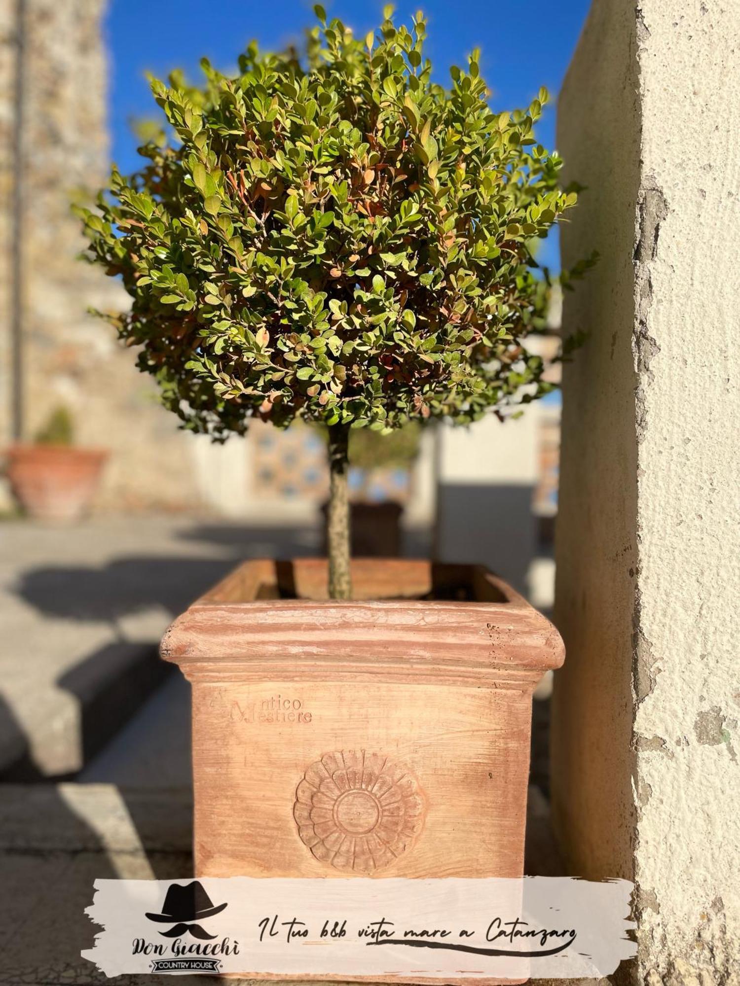 Don Giacchi Country House Catanzaro Luaran gambar