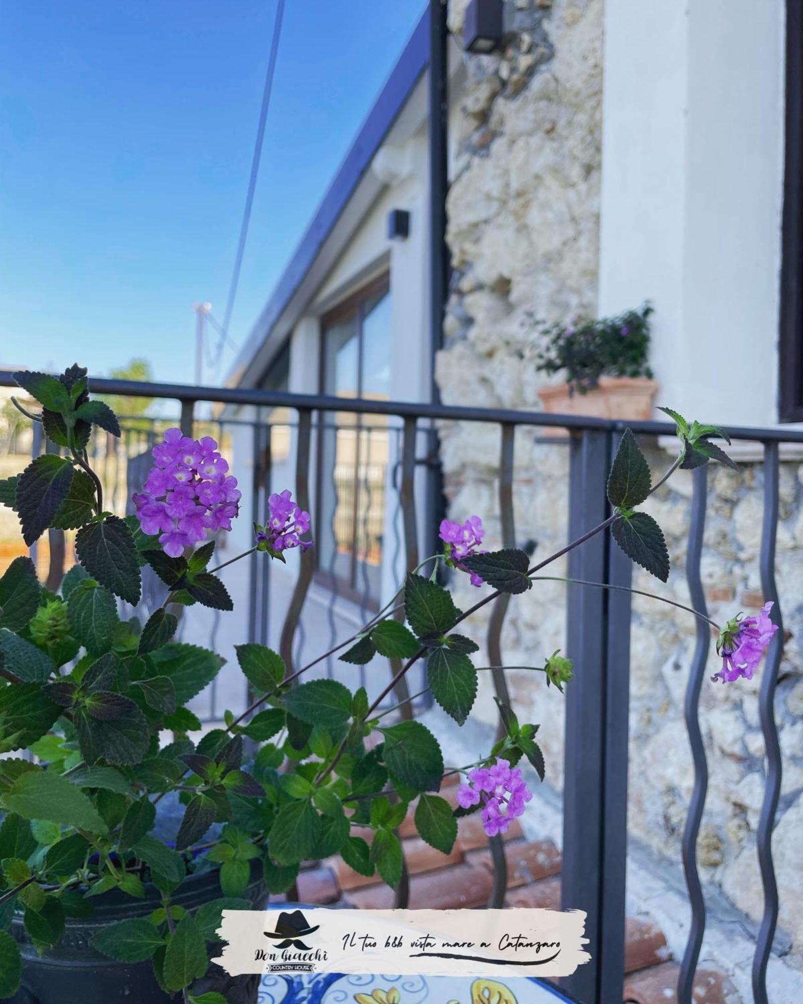 Don Giacchi Country House Catanzaro Luaran gambar