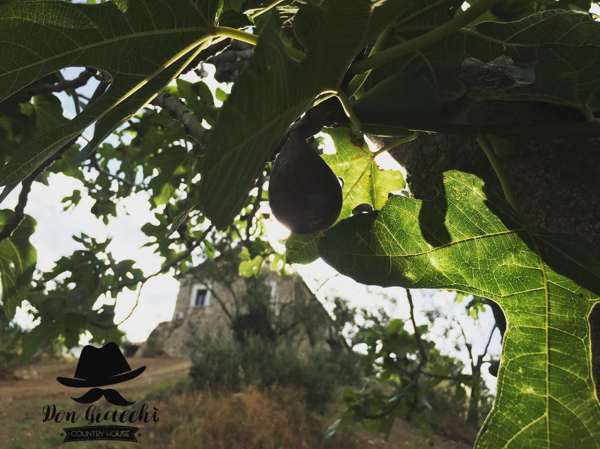Don Giacchi Country House Catanzaro Luaran gambar